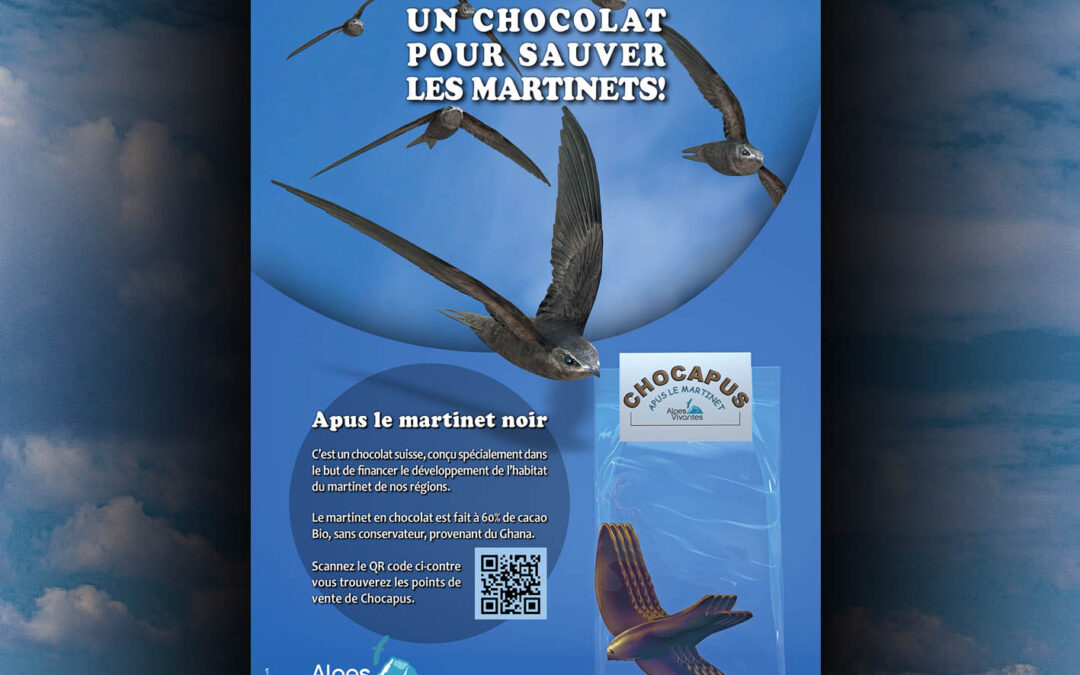 Le graphisme publicitaire